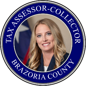 brazoria assessor deputy